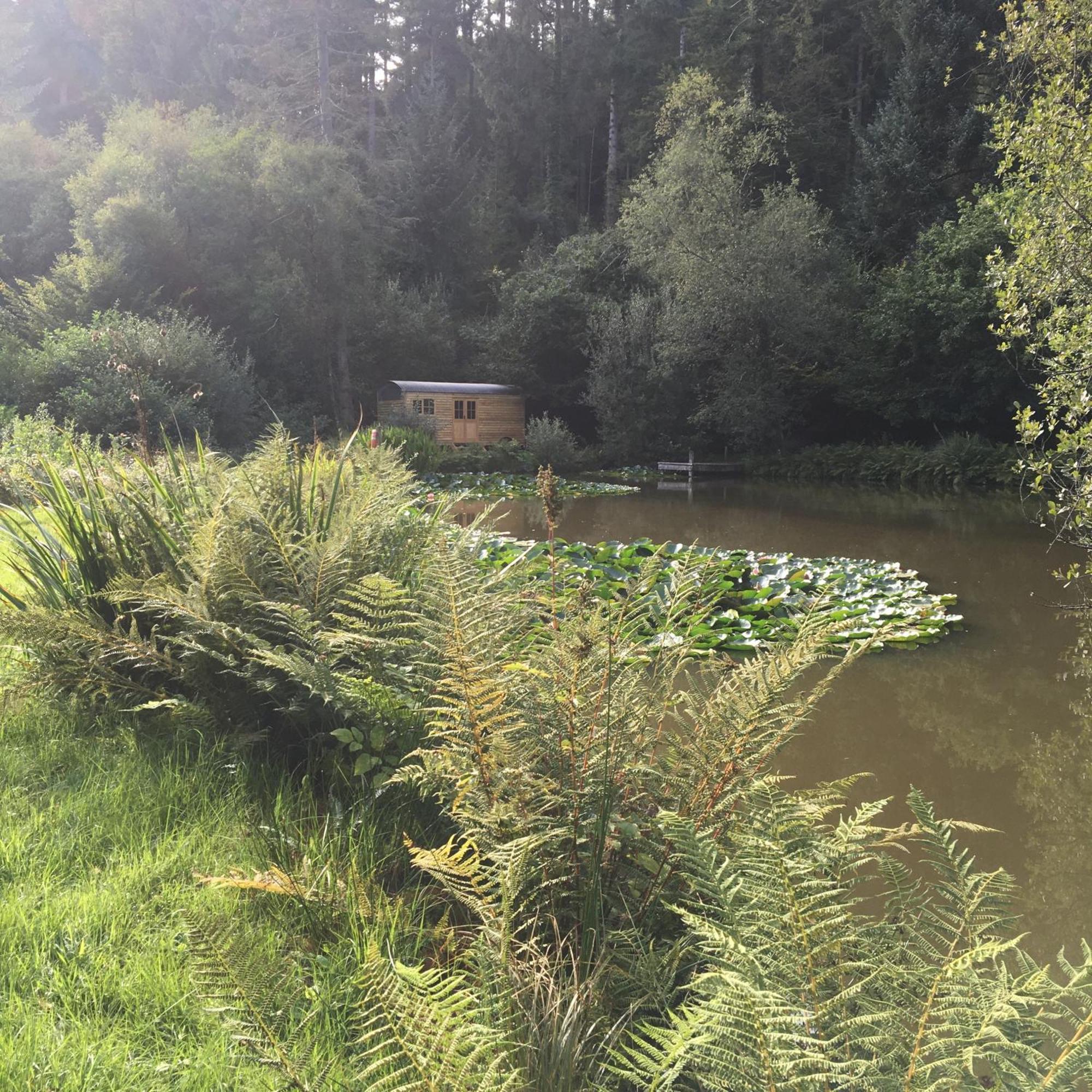 The Goose Nest Luxury Lakeside Shepherd Hut In Cardinham Woods, Cornwall Exterior foto